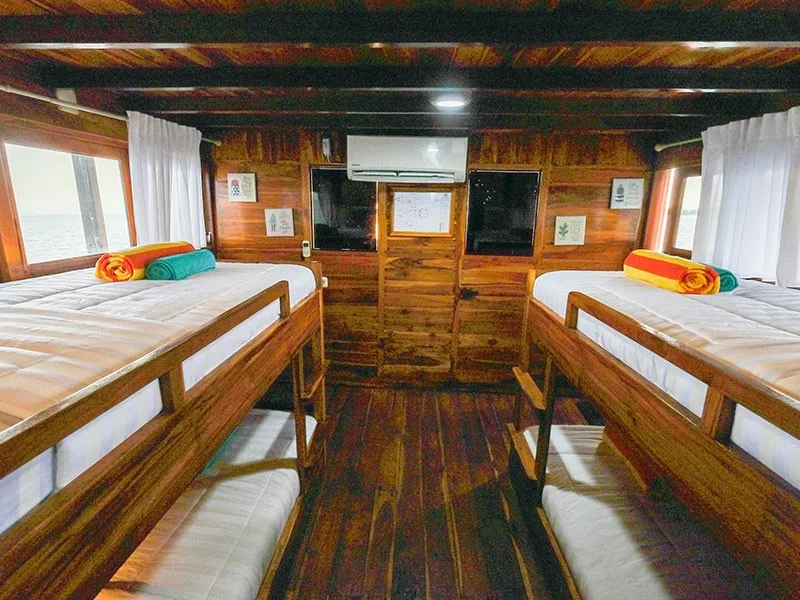 Kanawa Horizon Quad - Image 1